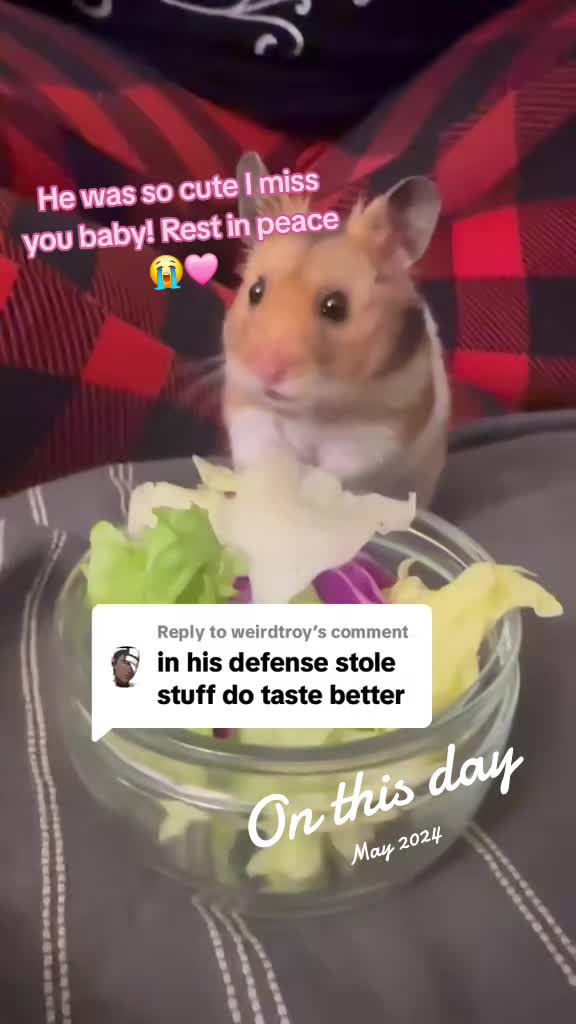 @Octavia Hellscythe