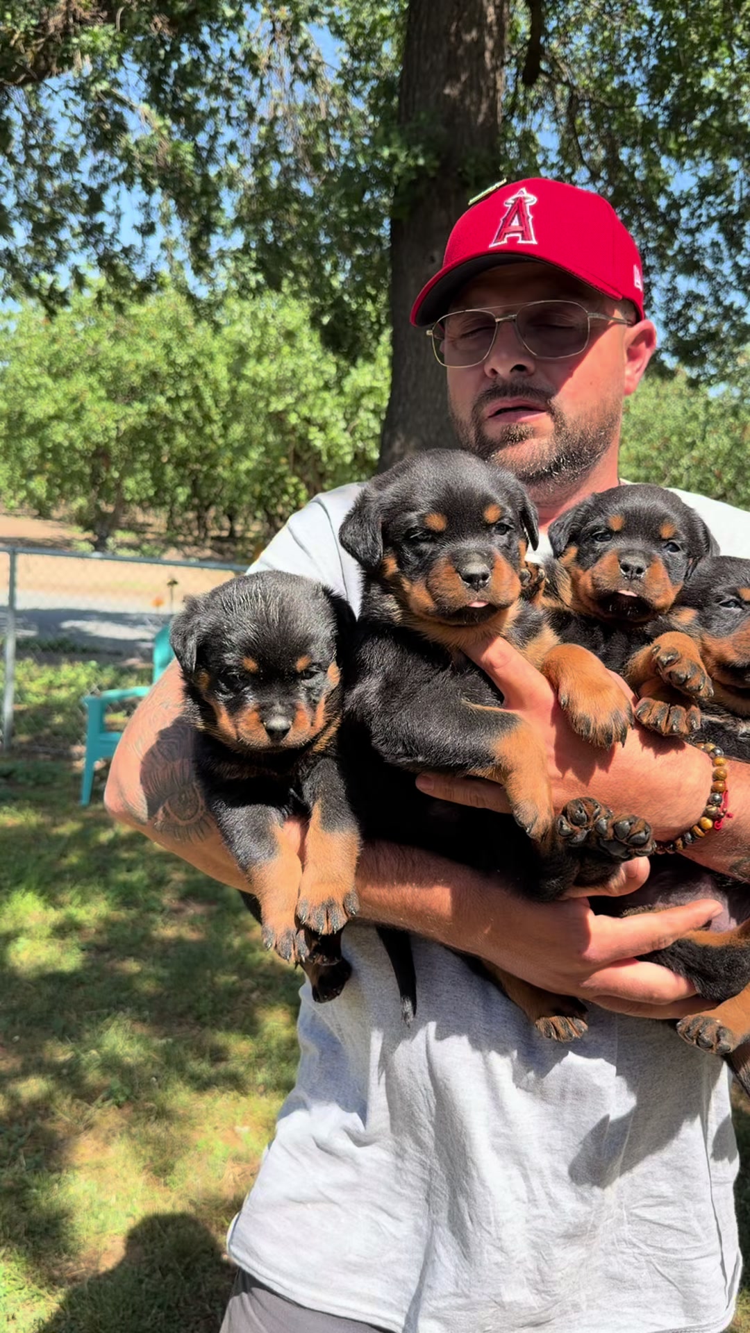 @✨VON DER MU&Ntilde;OZ ROTT&rsquo;S✨
