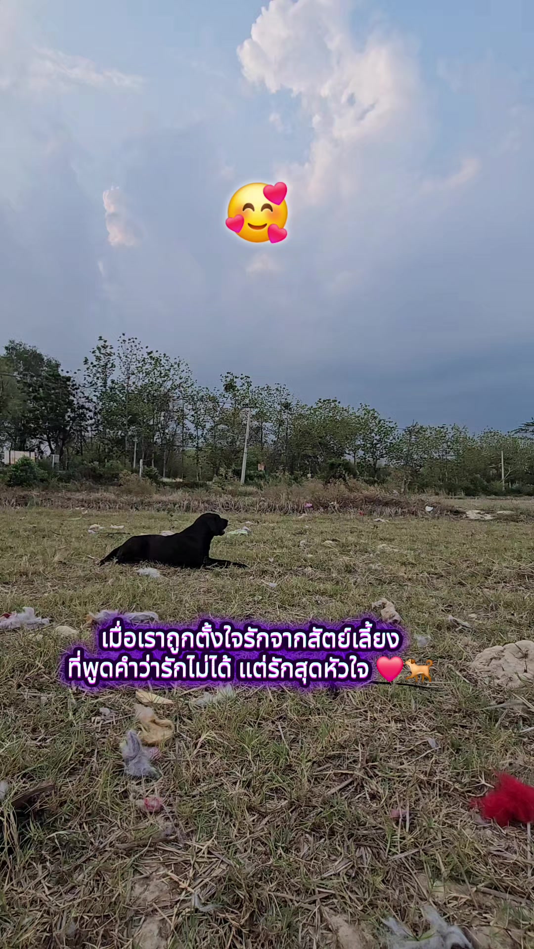 @อาร์ม วุฒิกร