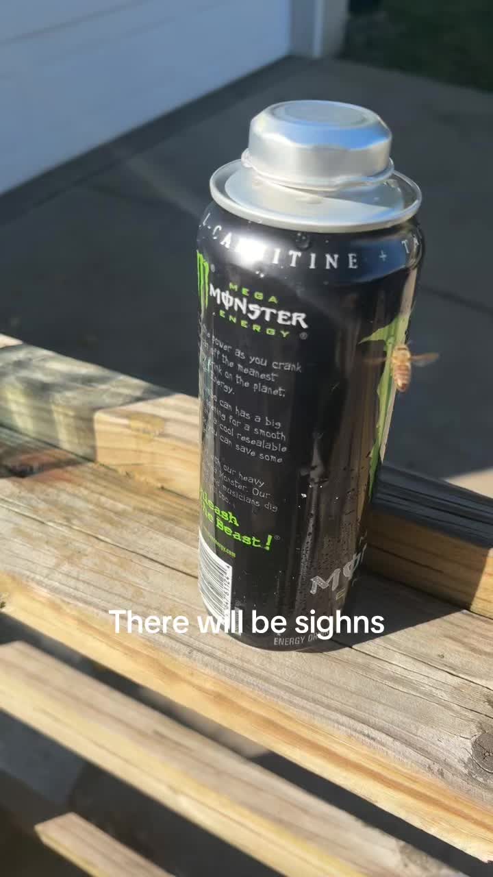@PaPI Patience