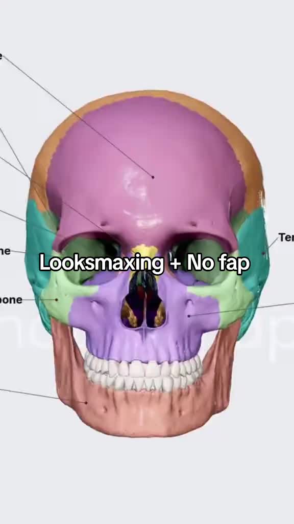 @MOGGER