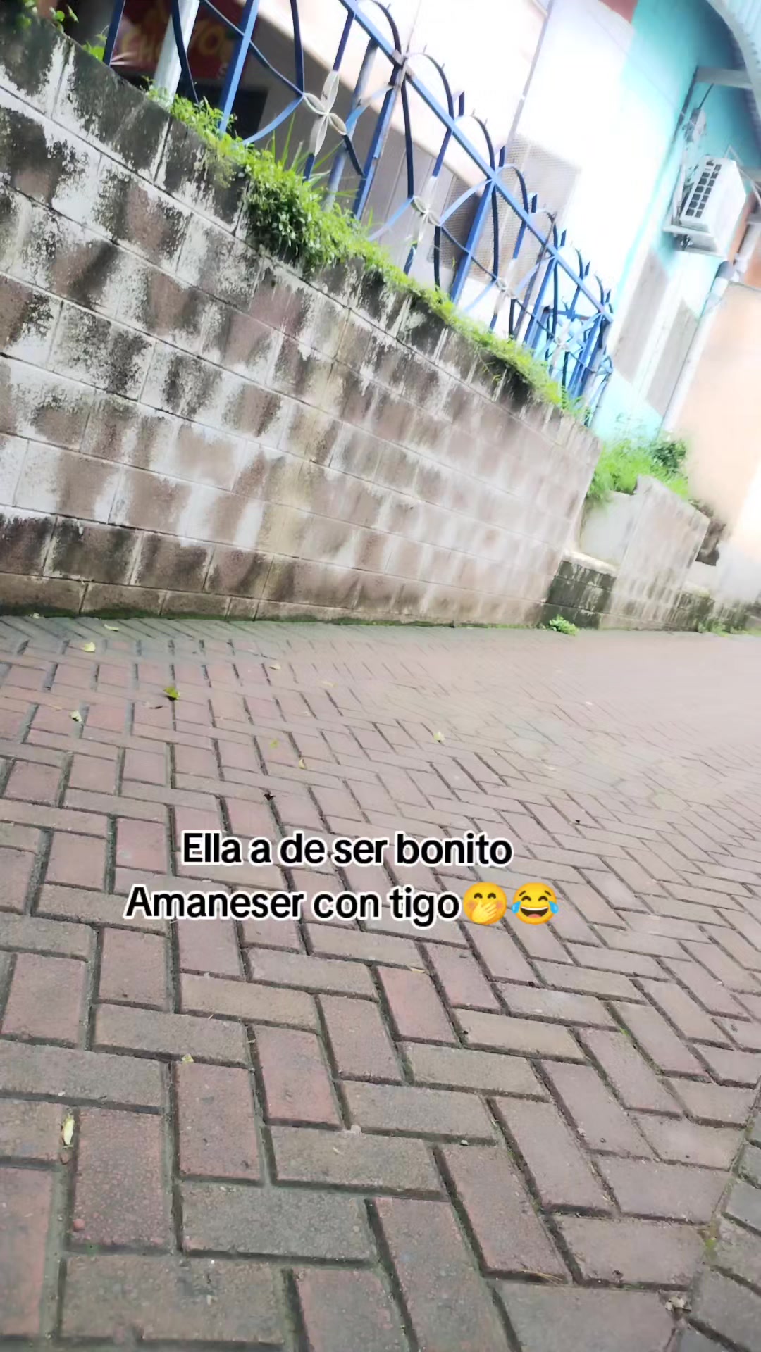 @🐥 Juan🐣