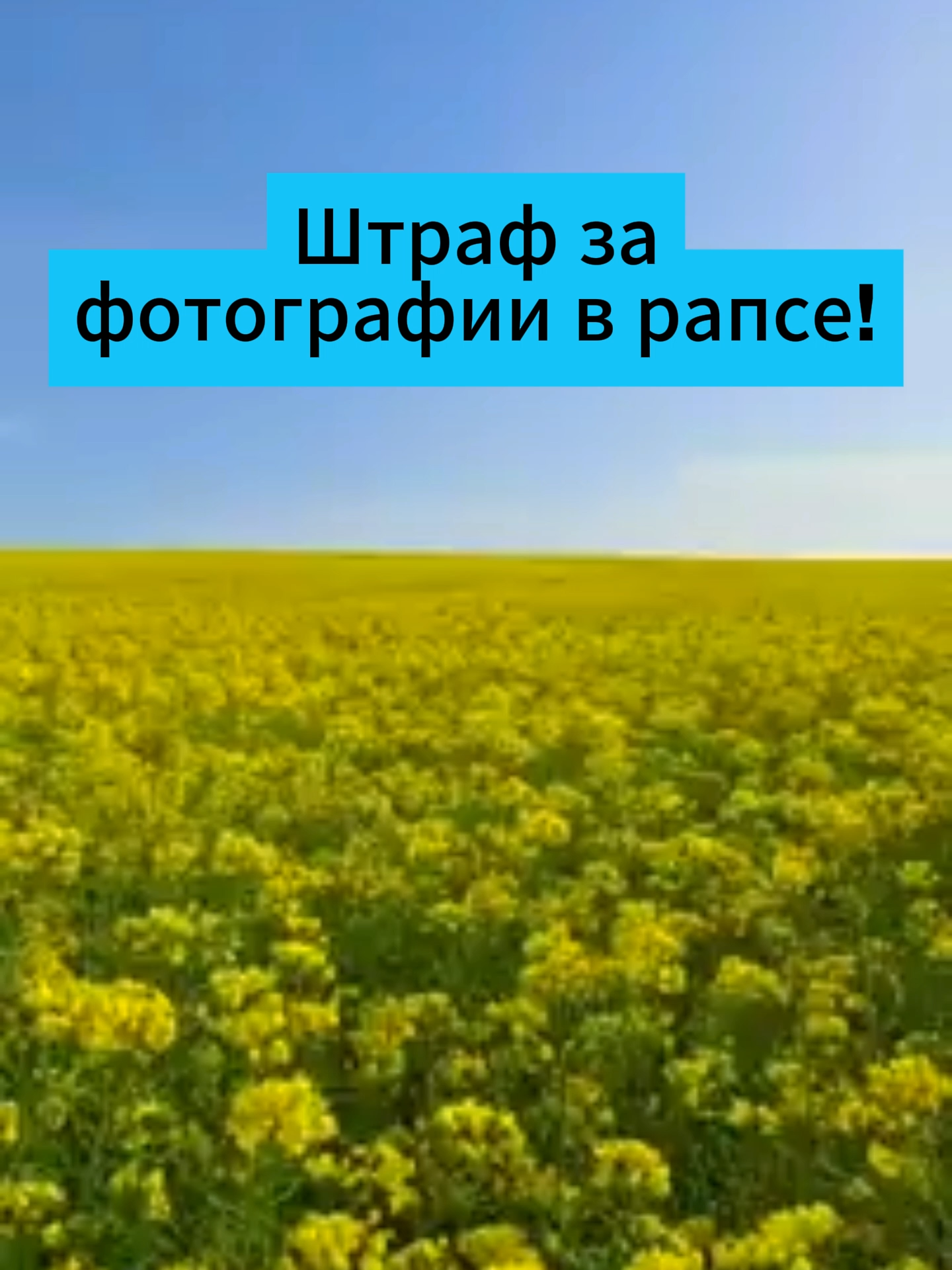 @belarus.now