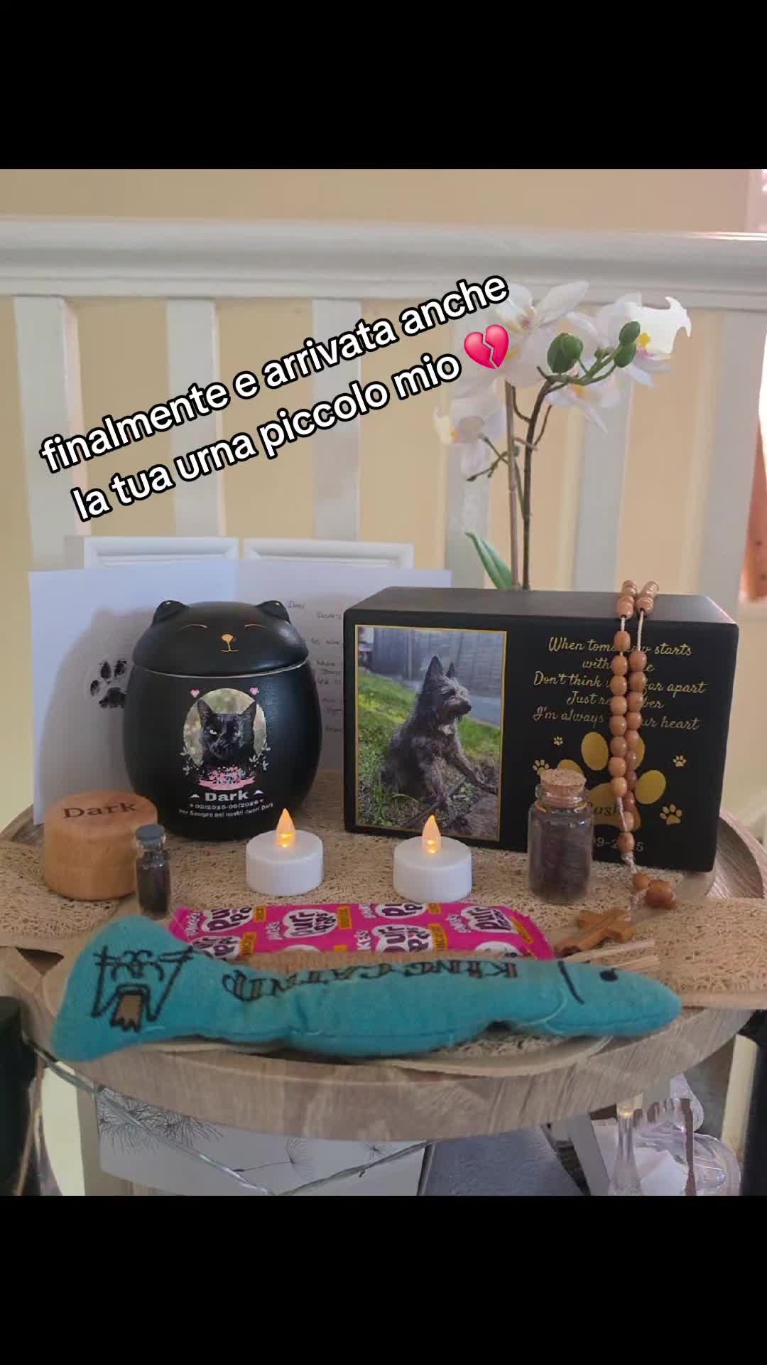 @unaNapoletanainuk🇬🇧