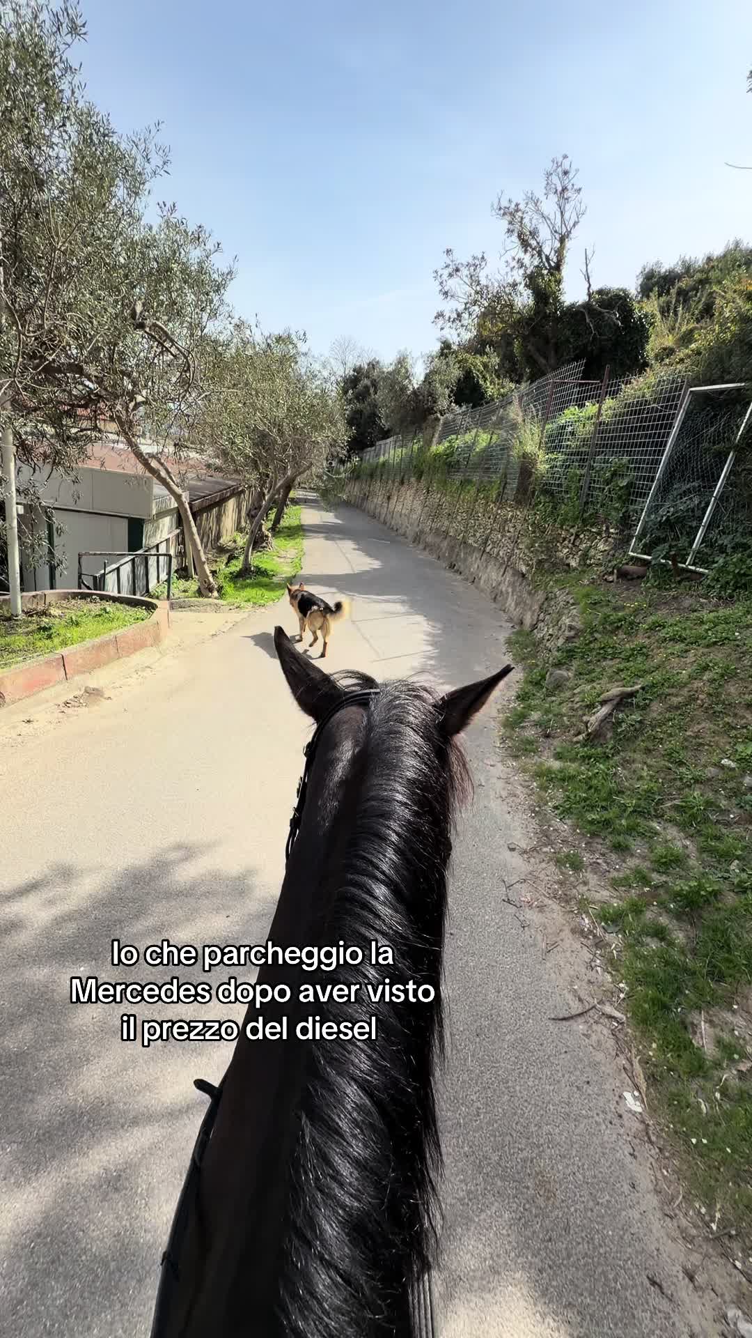 @Rita De Domenico