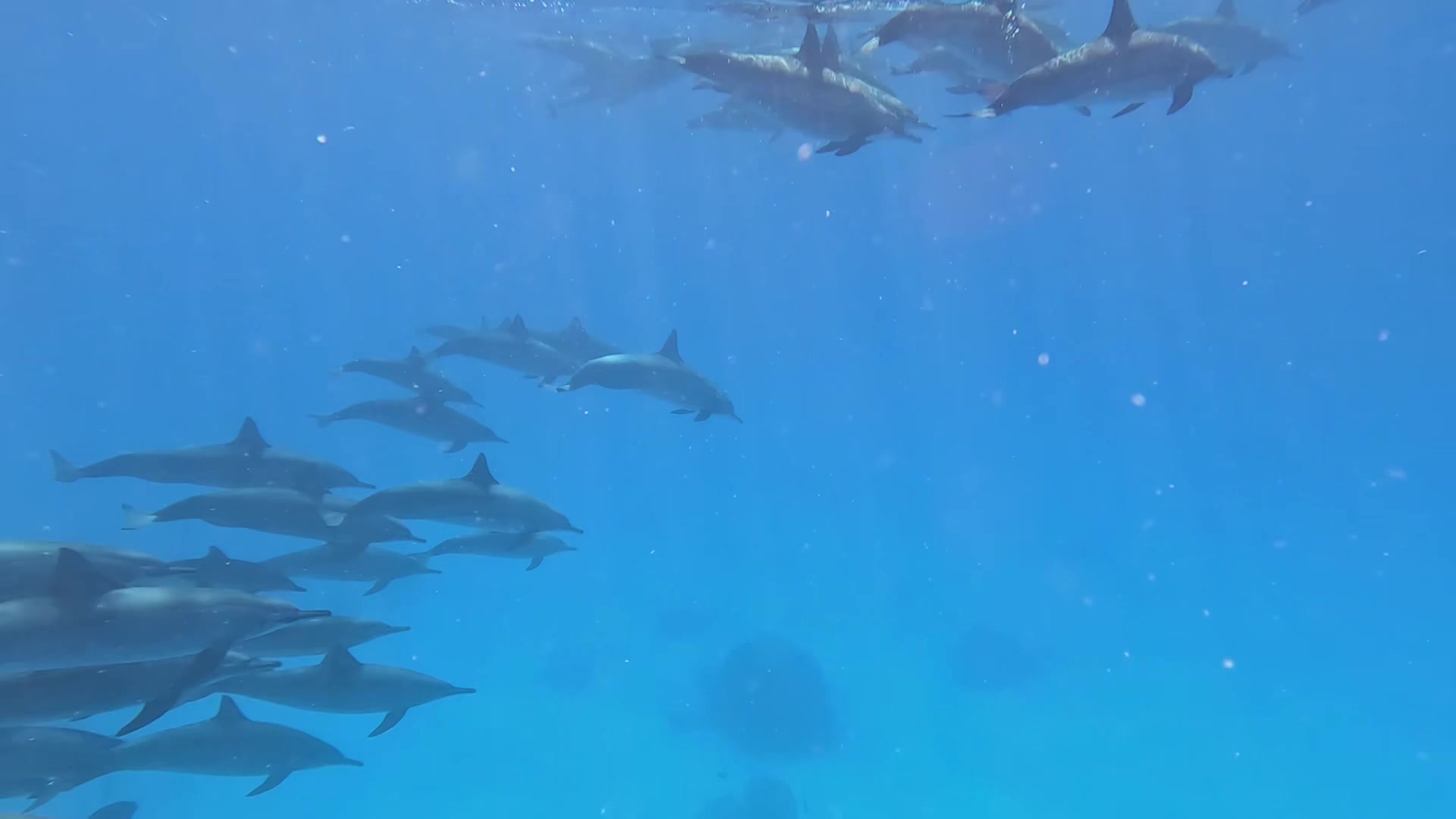 @Diving Tips and Stories