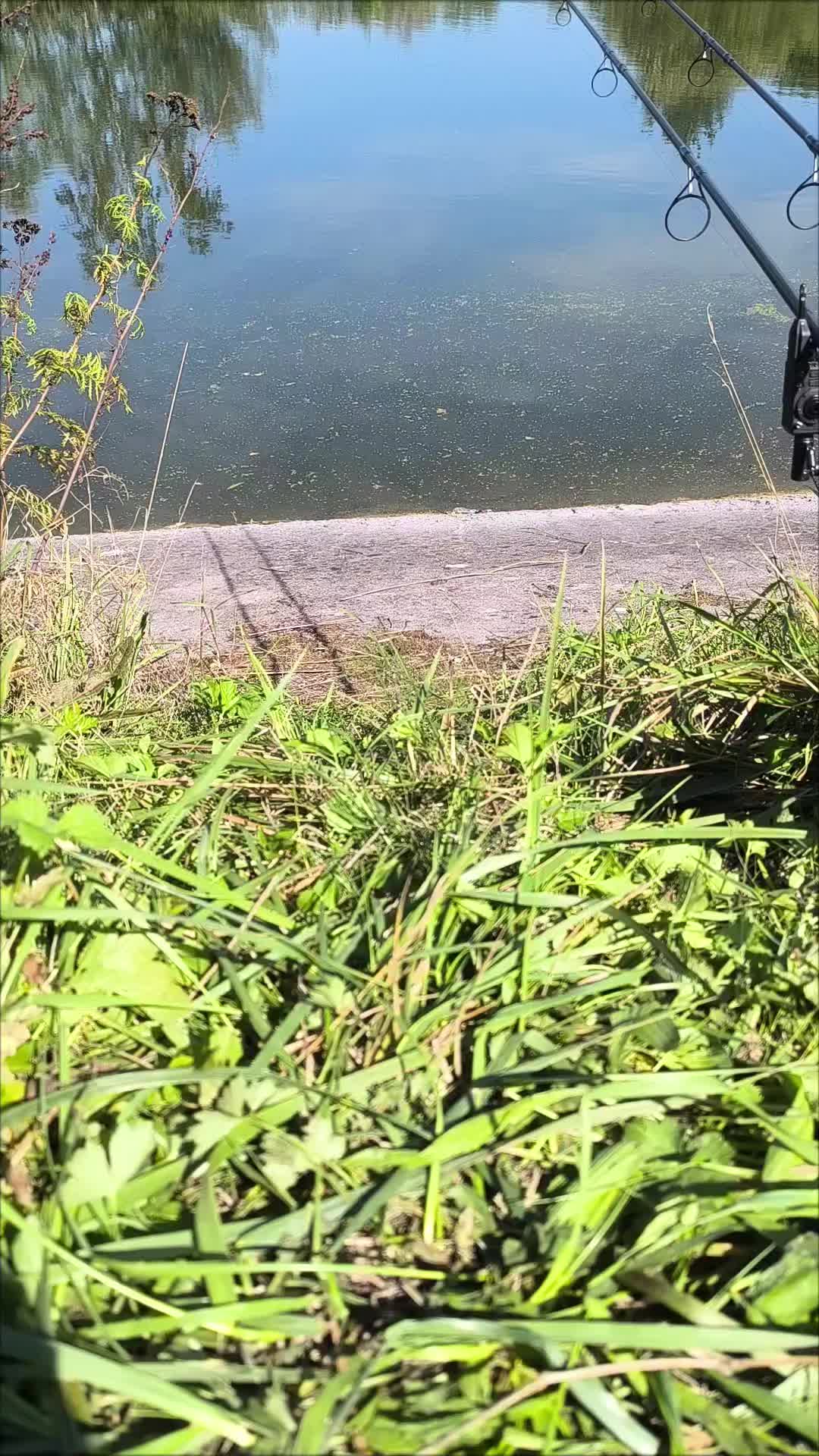 @Jocarpfishing
