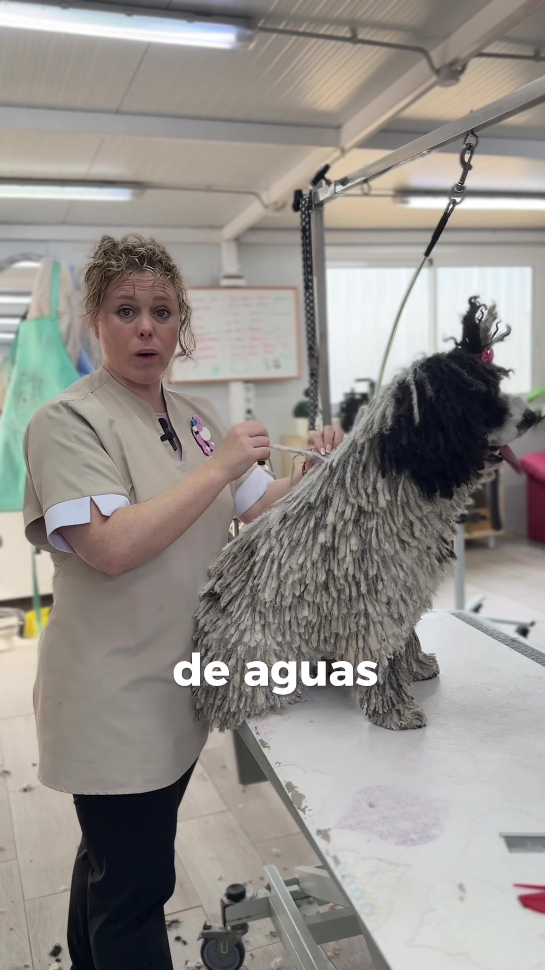 @Lidia L&oacute;pez