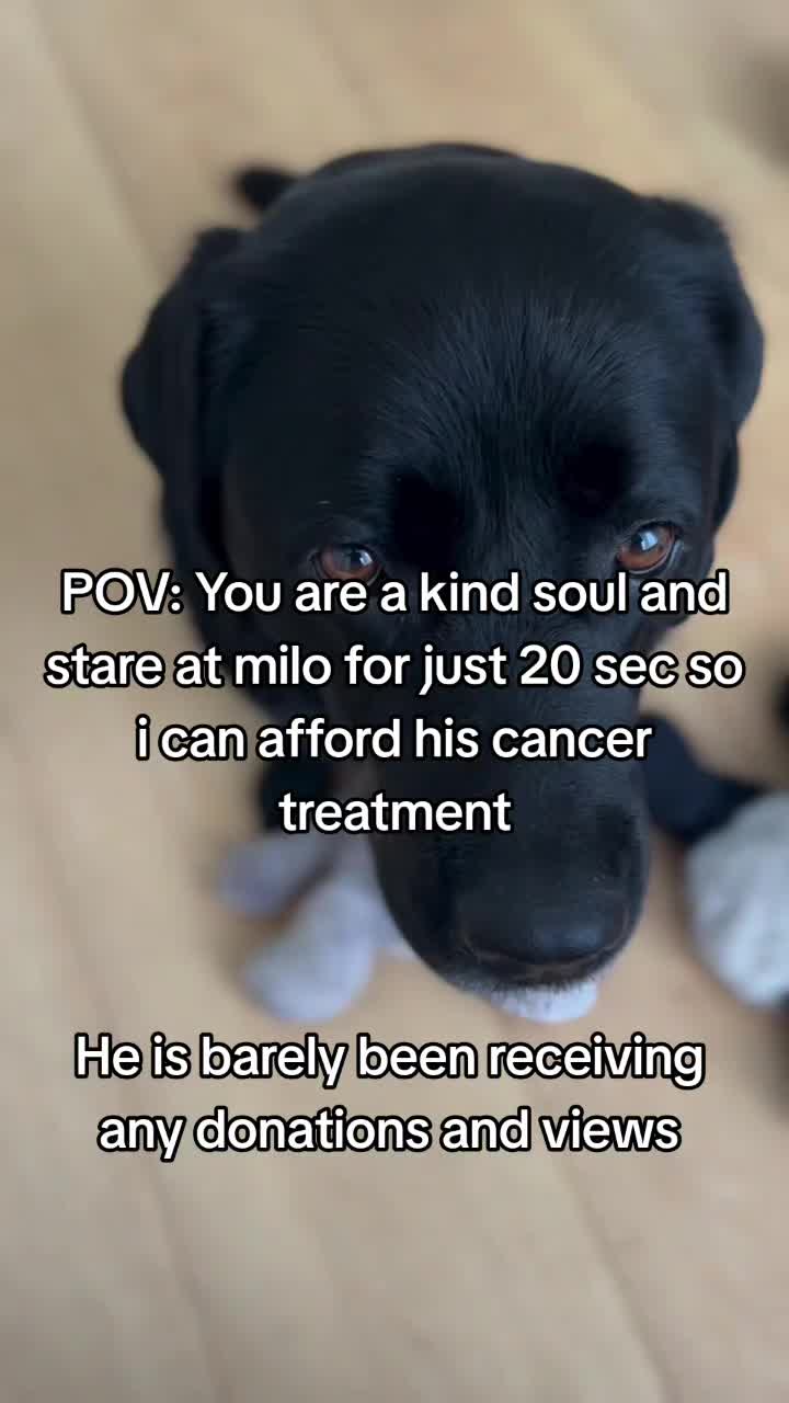 @pakrasj08