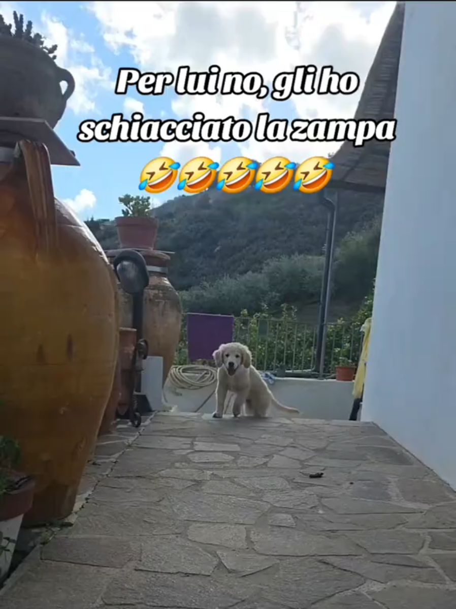 @Camilla Spinella
