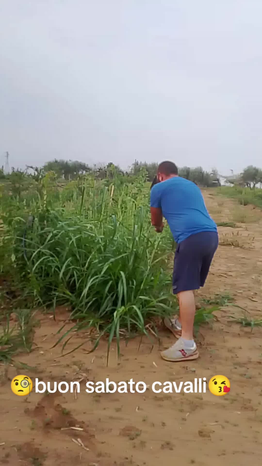 @Stefano Zagara