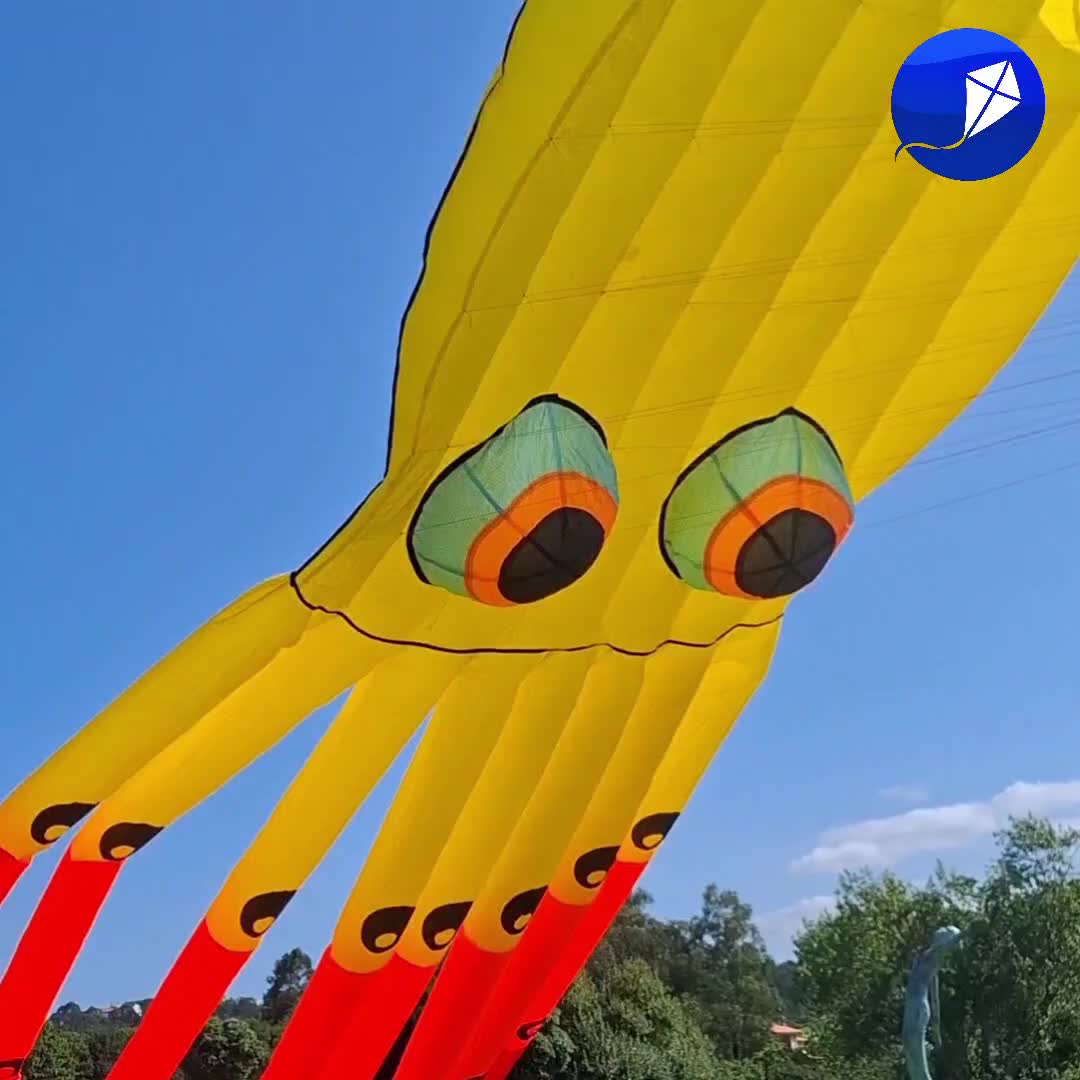 @Velaivai cometas