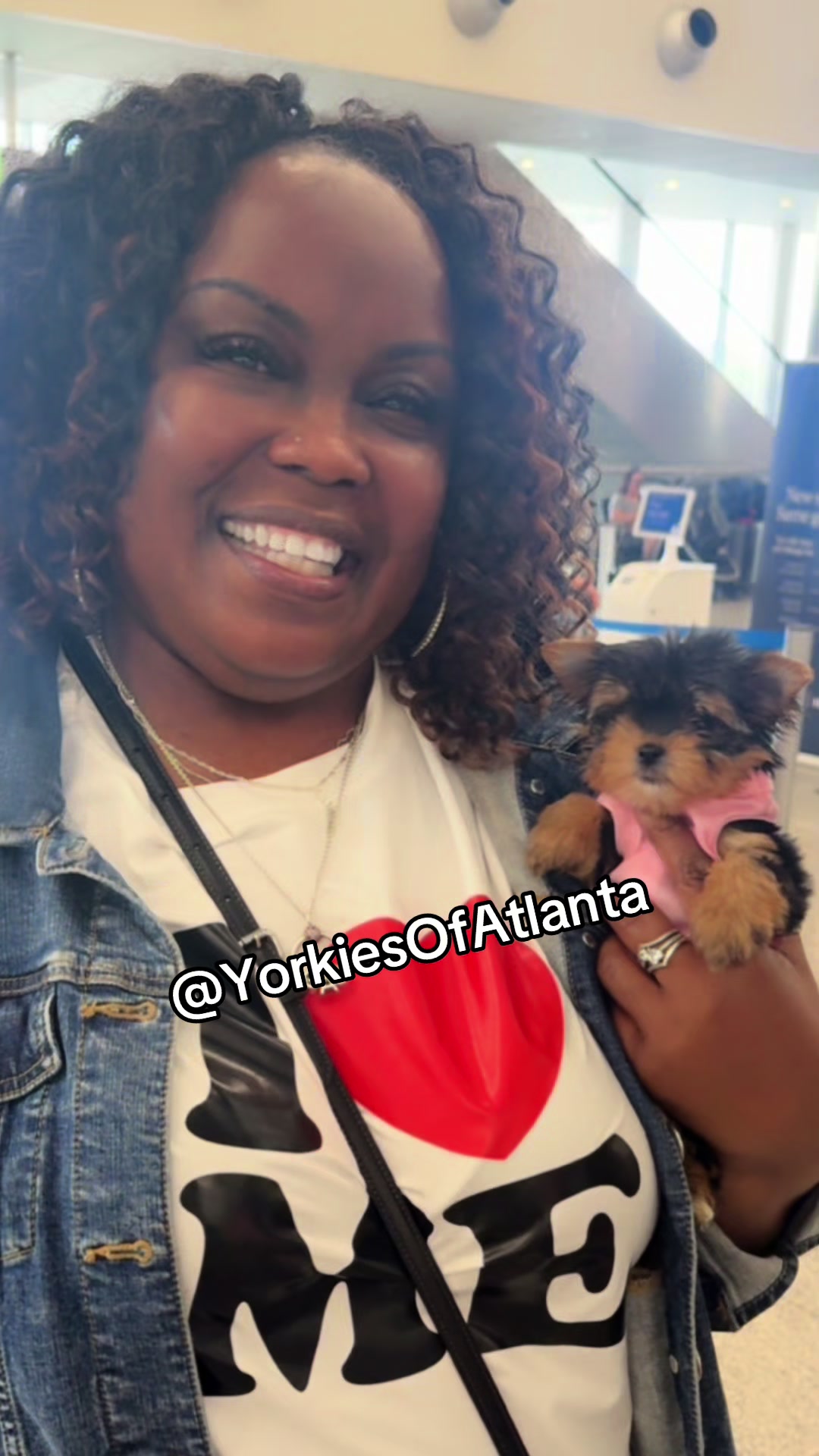 @Yorkies Of Atlanta