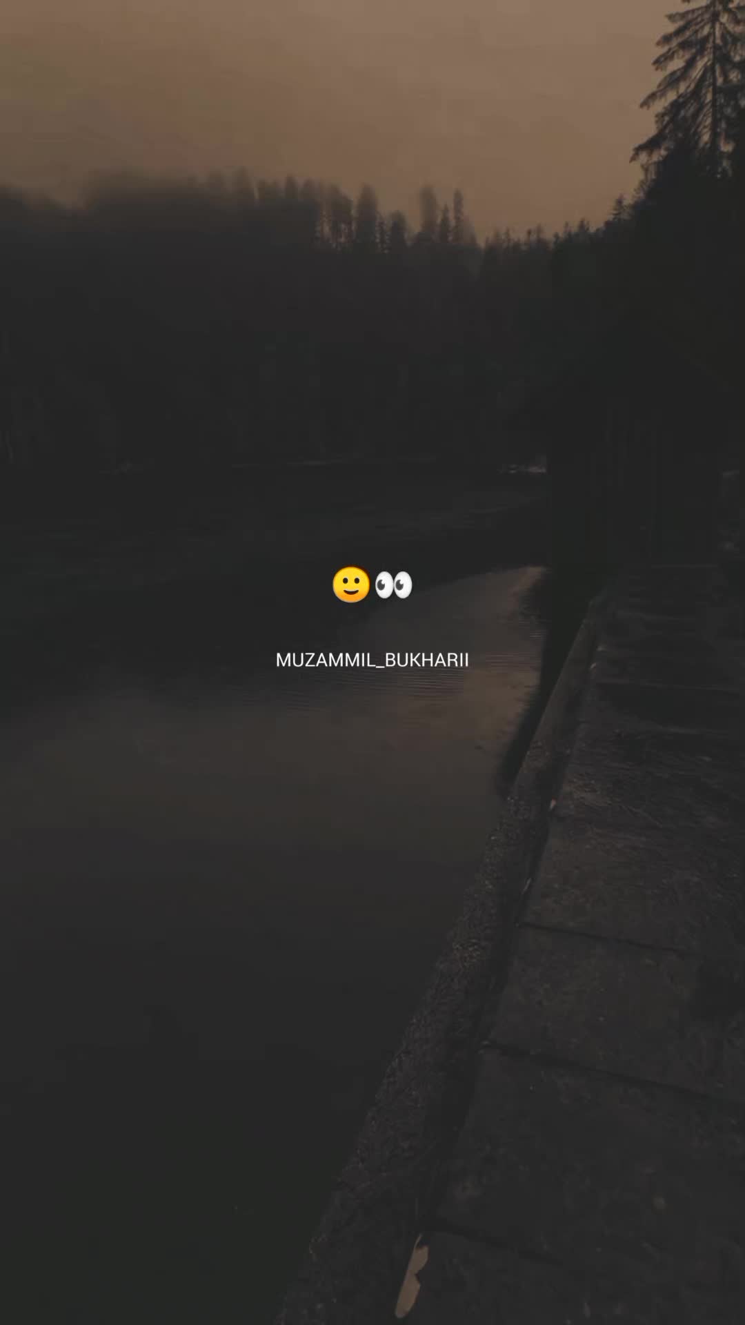 @𝙎𝙮𝙚𝙙 𝙈𝙪𝙯𝙖م𝙢𝙞𝙡 🤍