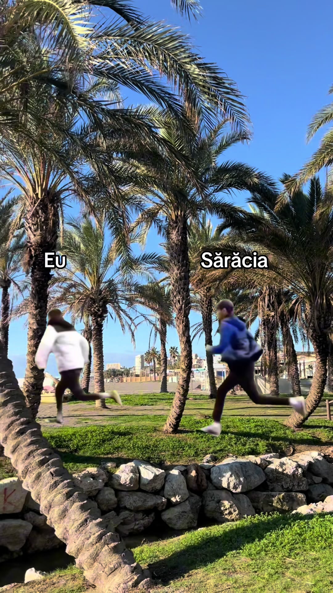 @A. ᥫ᭡