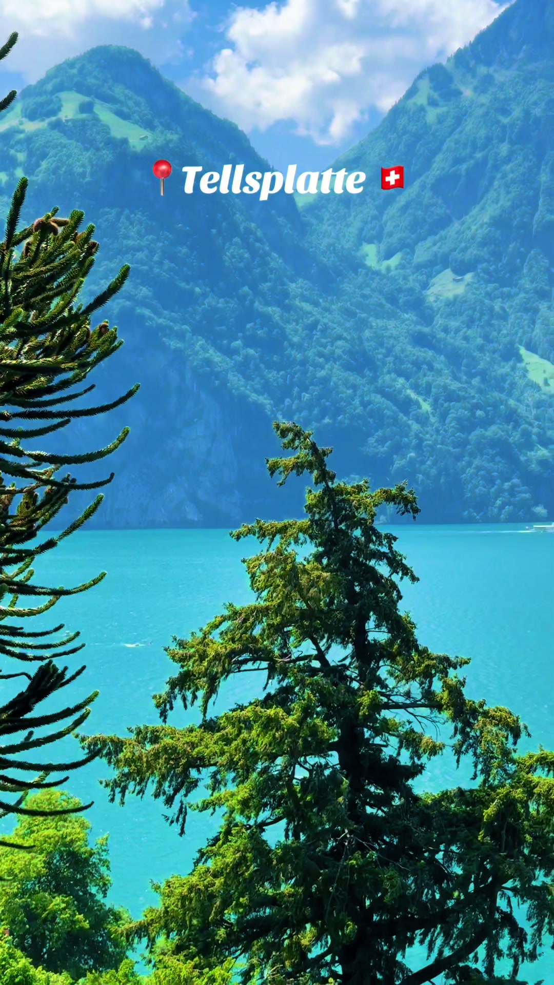 @swiss_alps