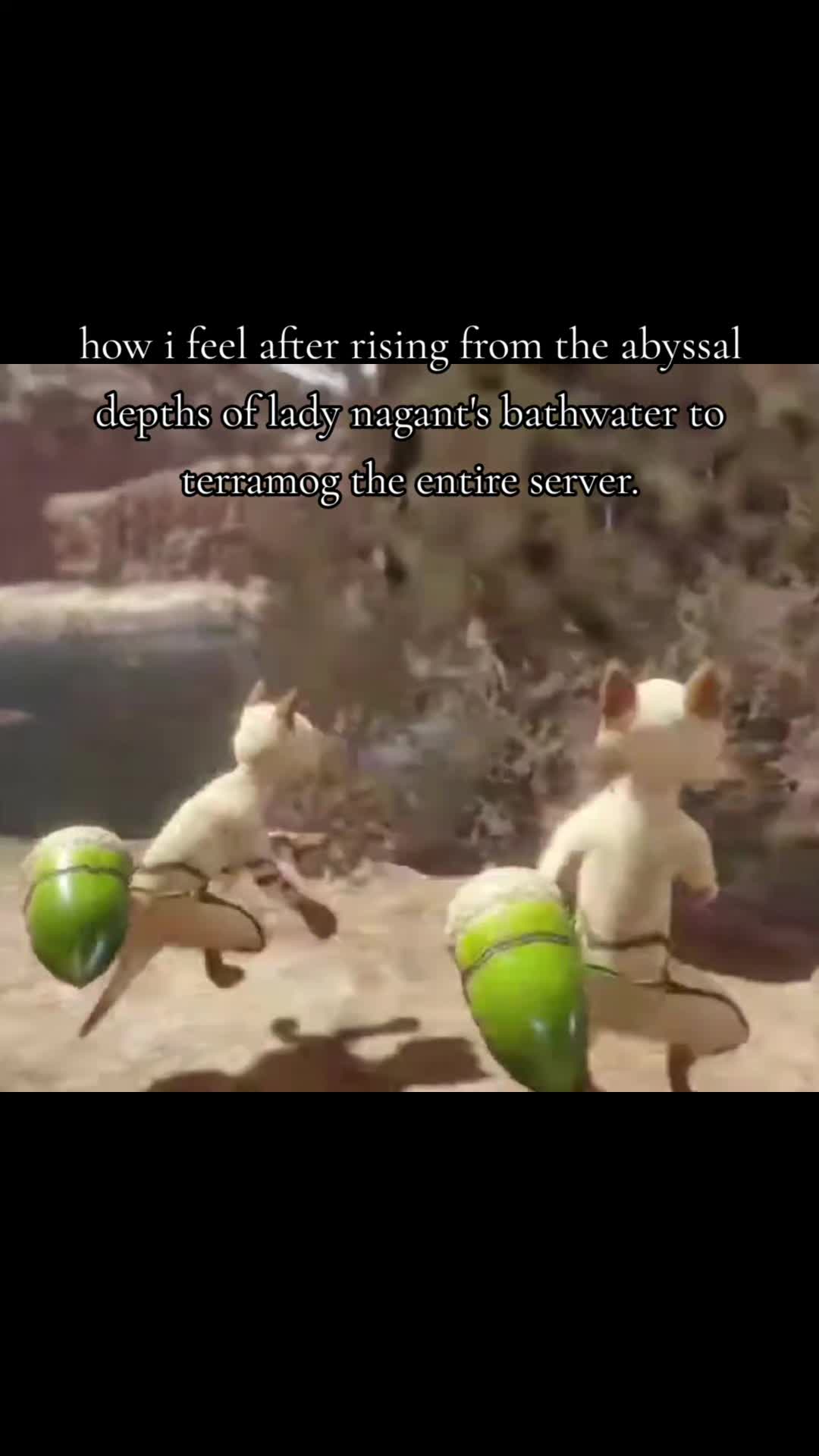 @kyokajirosgoodboy