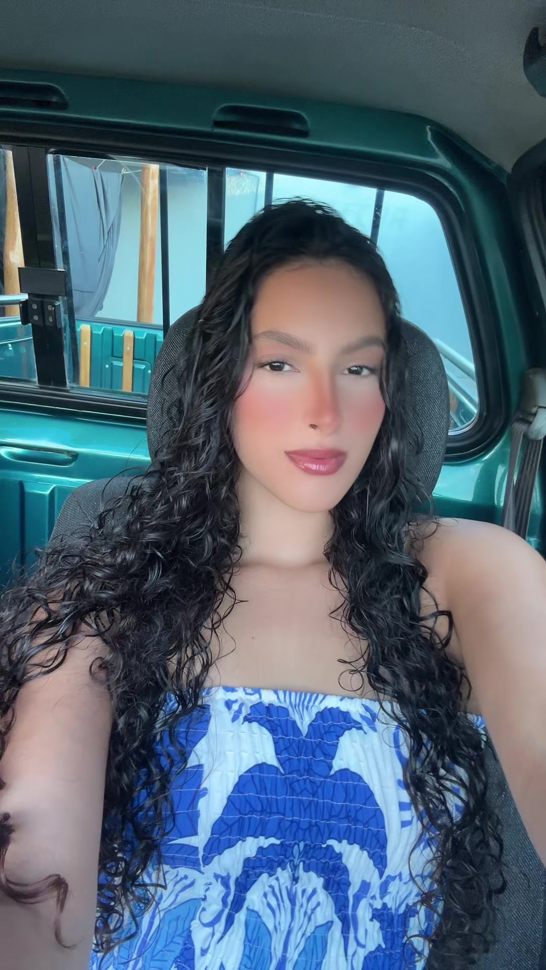 @elysa araujo