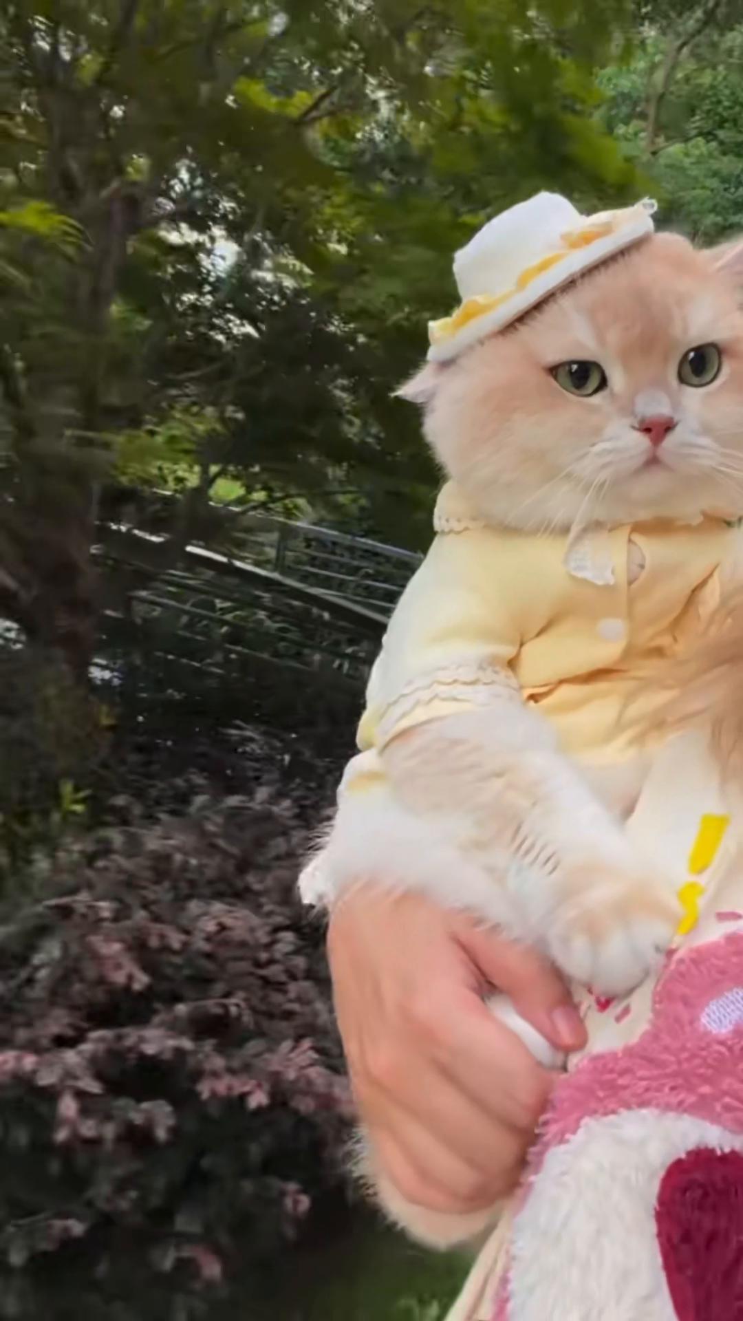 @My Daily Dose of Aww