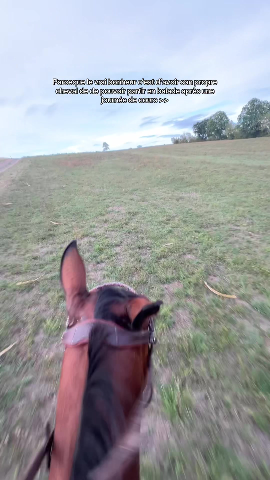 @Karen & Falcon 🦋