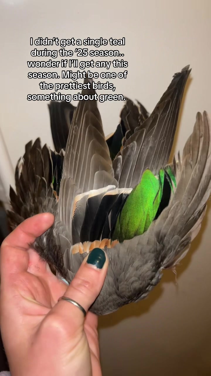 @Banded Babes