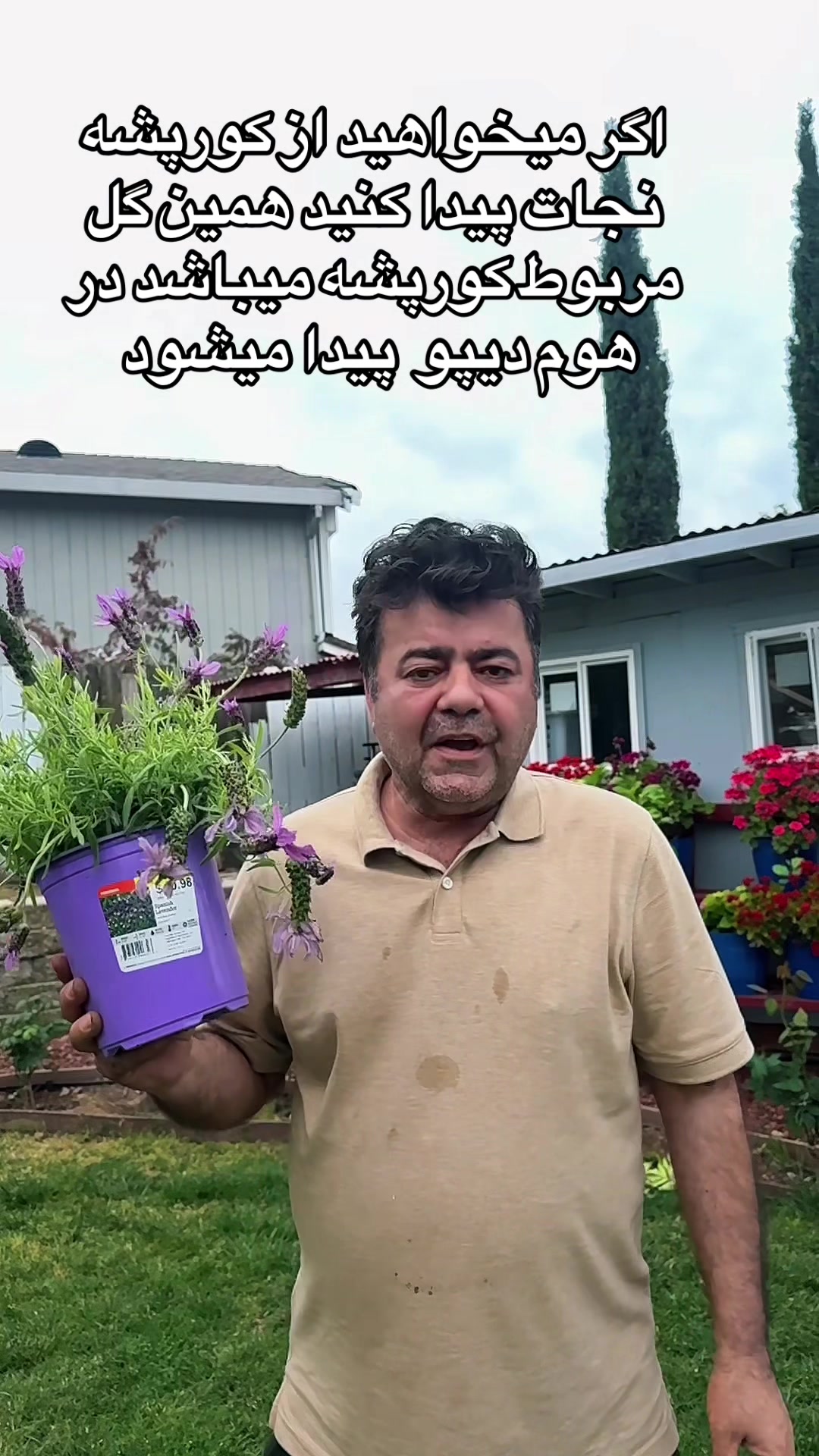 @Rahimi