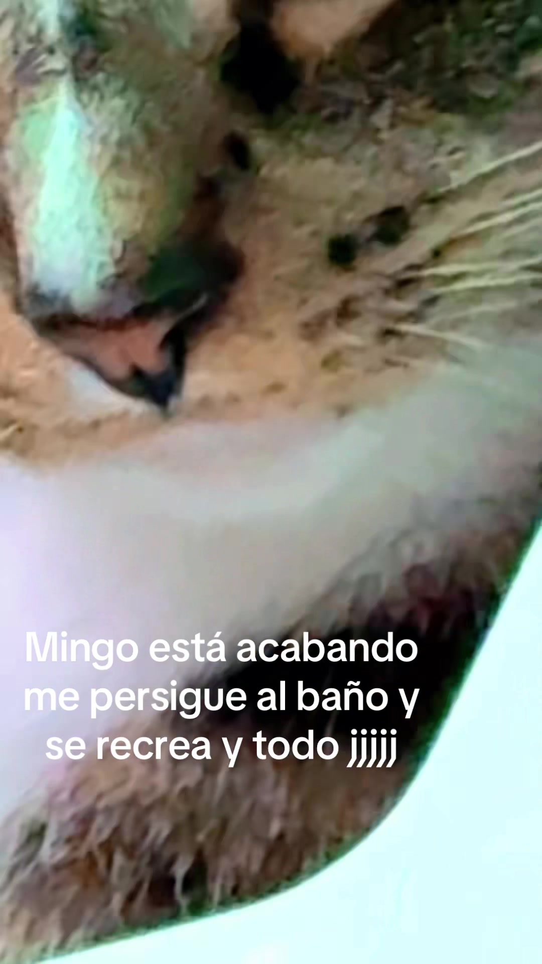 @keylamora5369🇨🇺