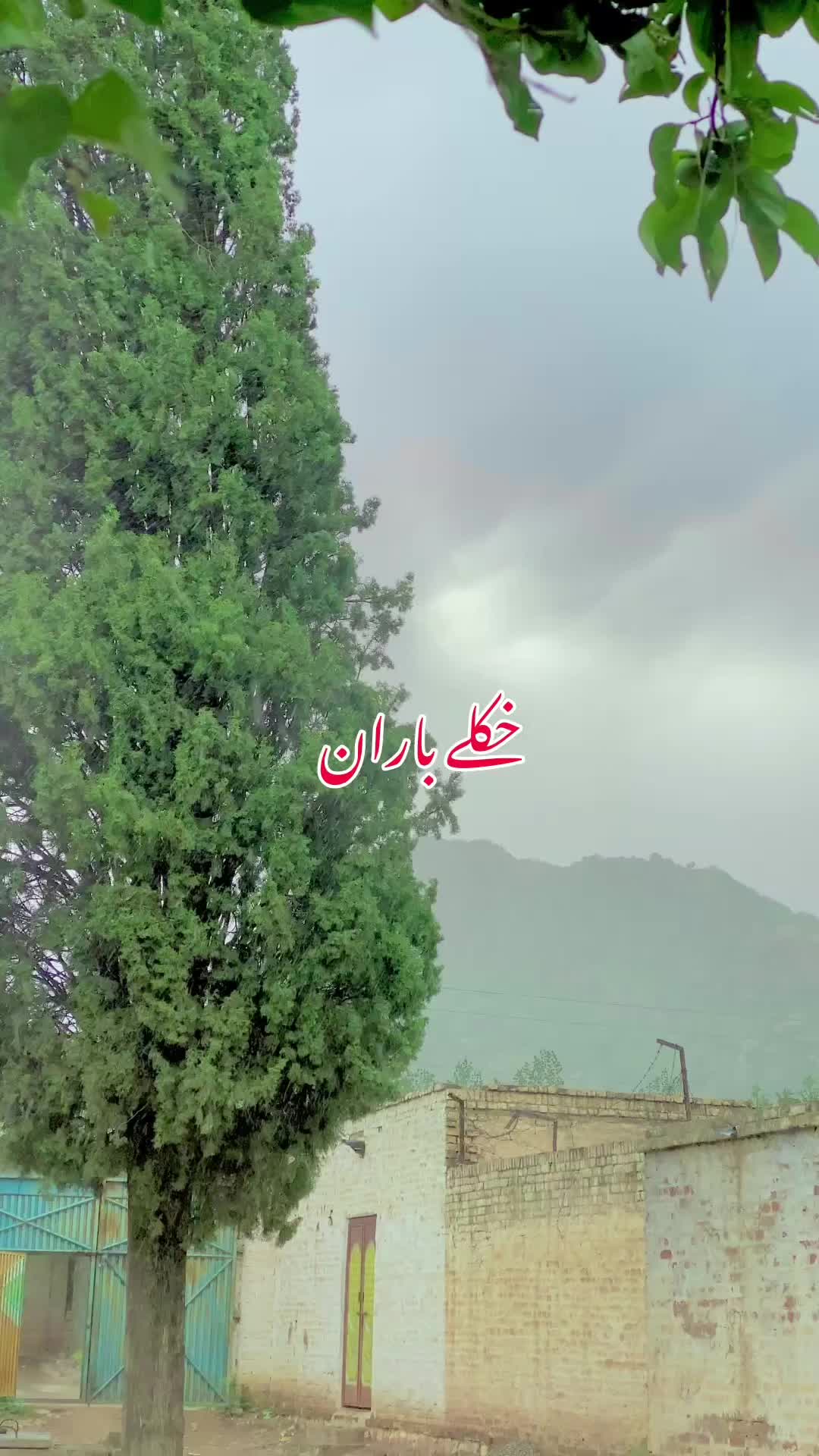 @عبدالقدوس وفا