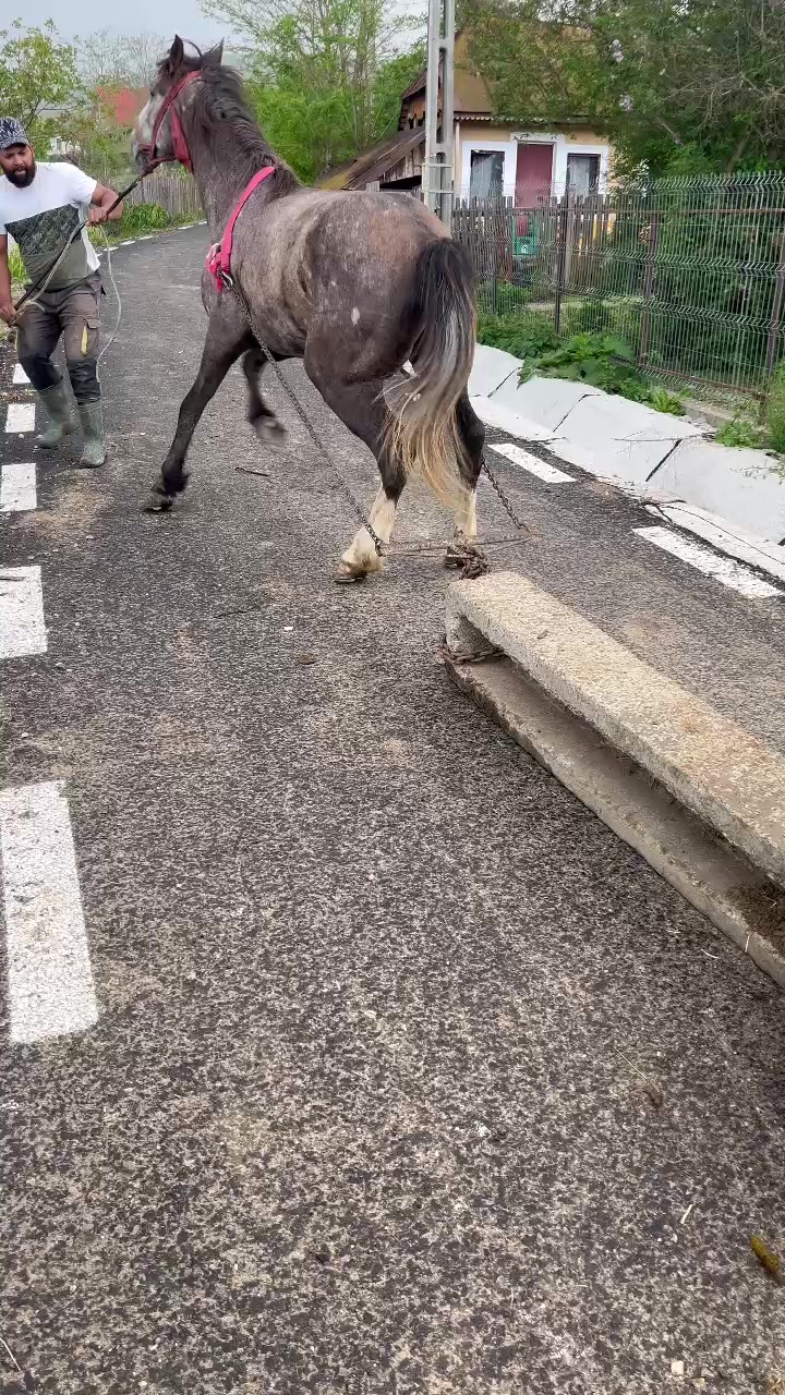 @Sebi Lazăr