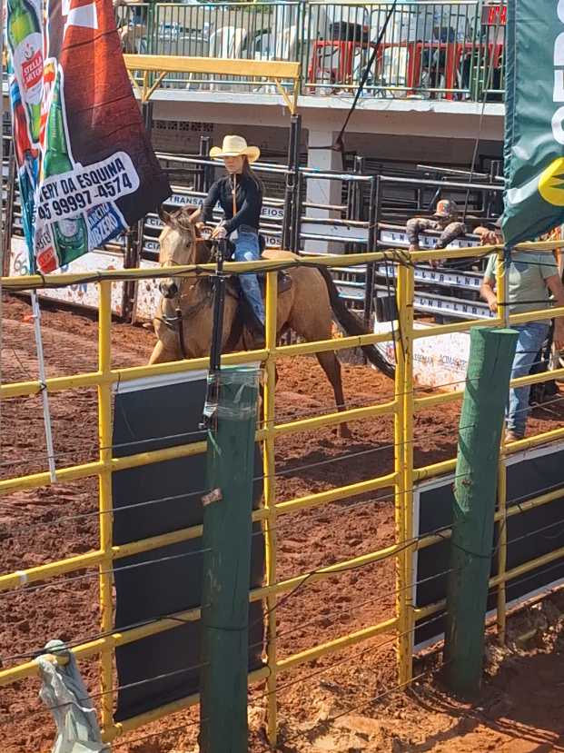 @rodeo