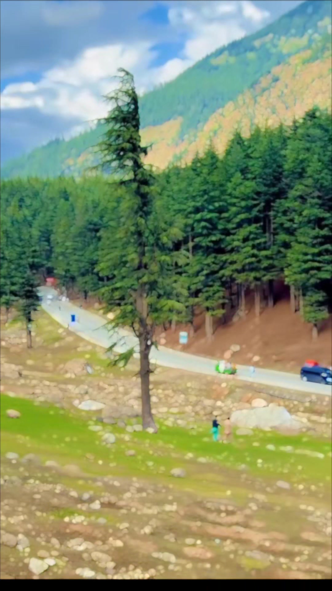 @amaan1949