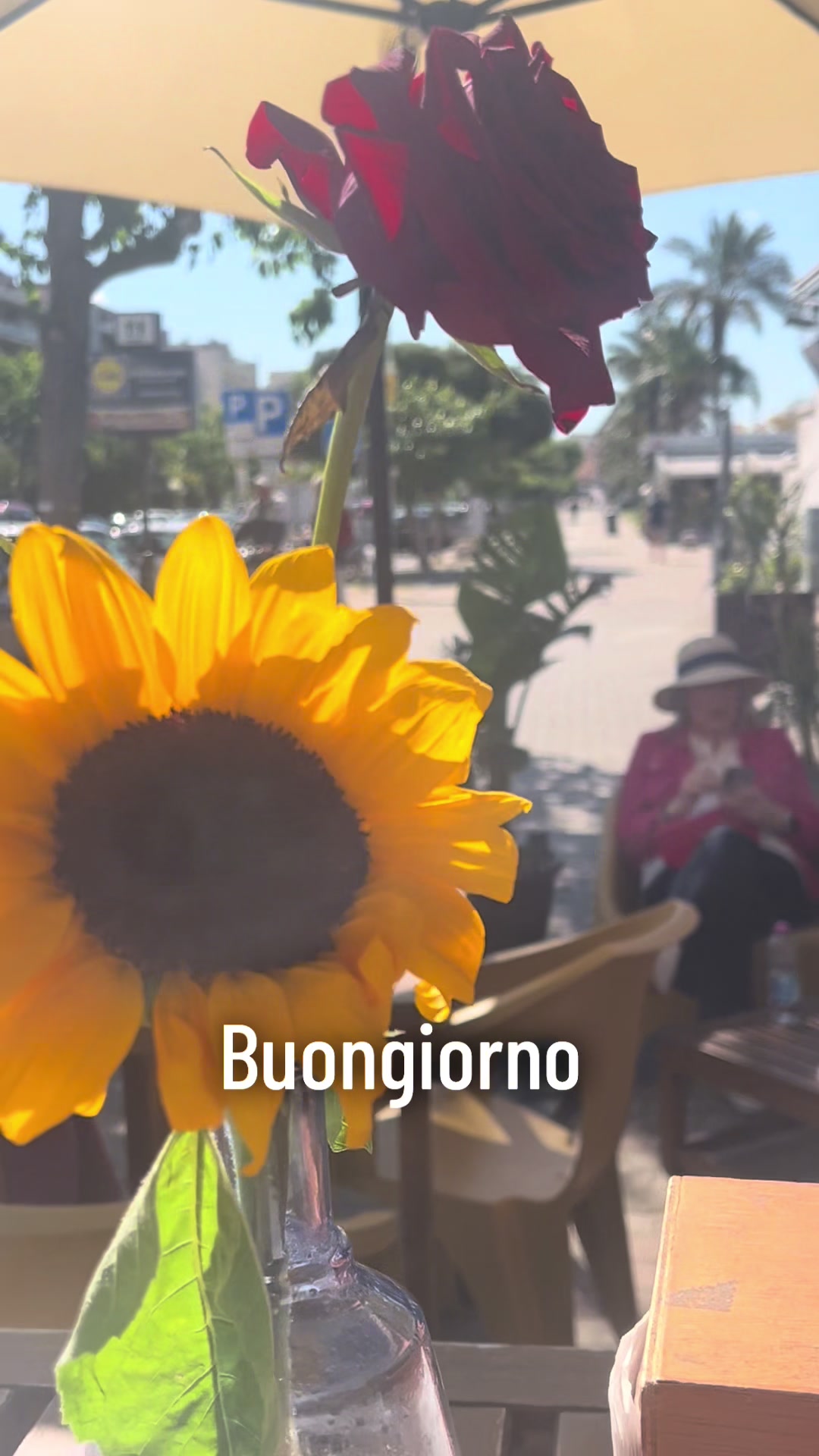 @Luna chiena