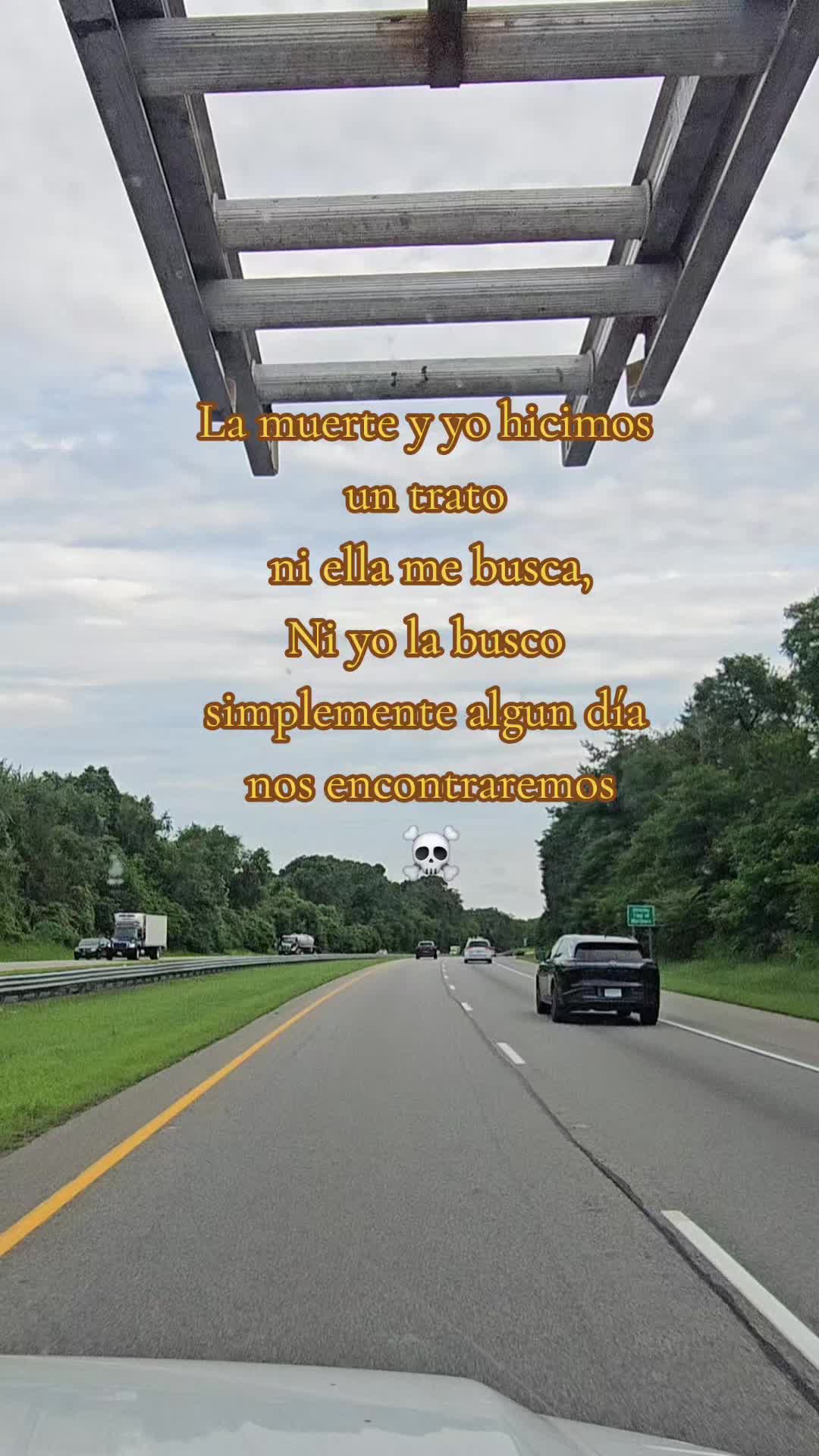 @🇲🇽Guli.Carrada 🐈&zwj;⬛