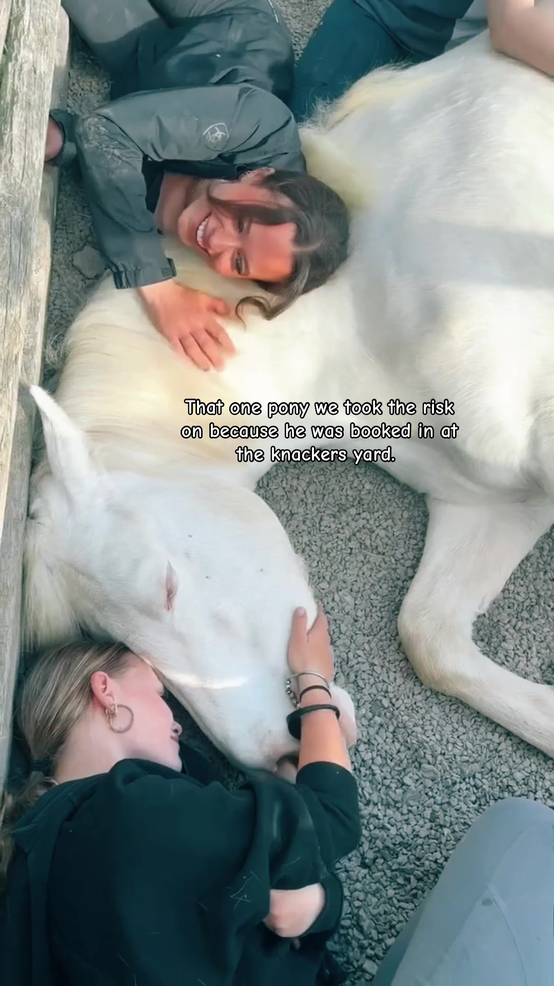 @LW_Equestrian