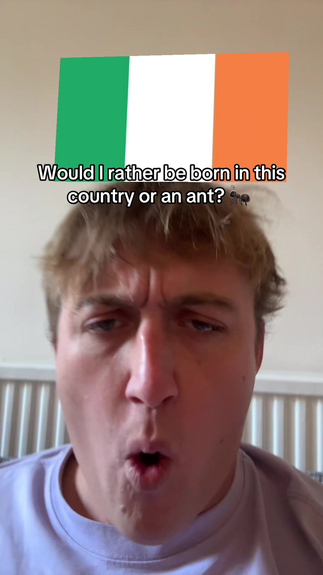 @Tom Birchy