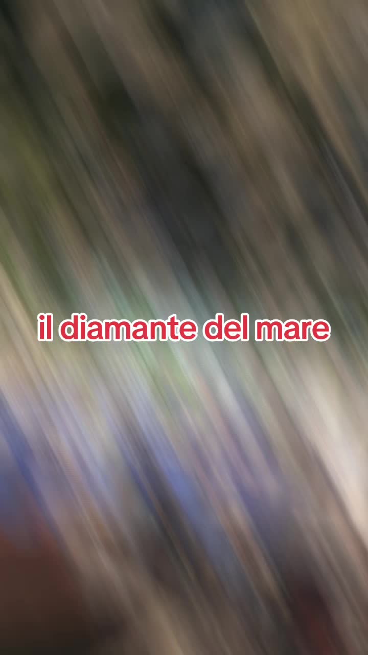 @totò