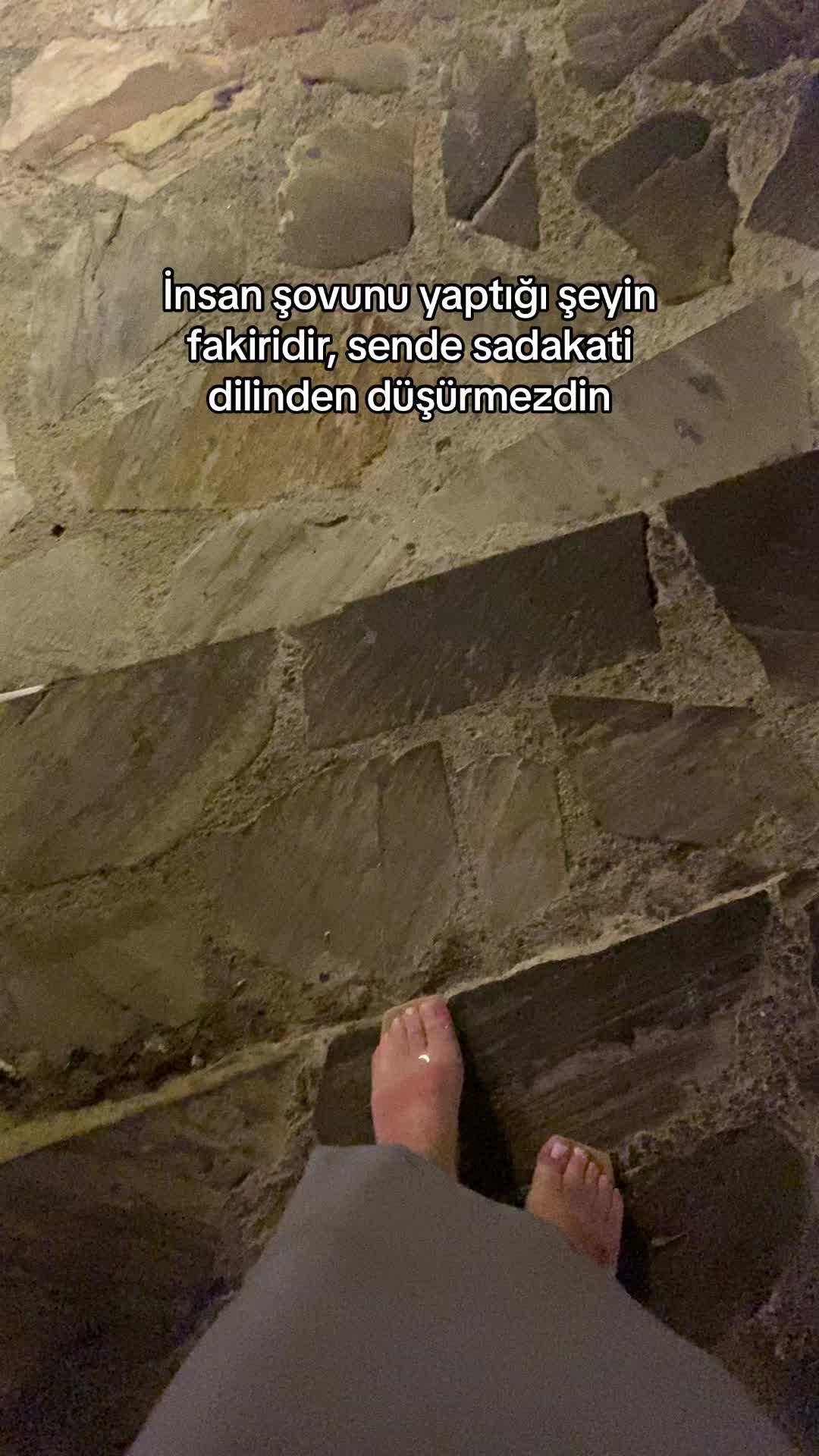 @efsaanurr1