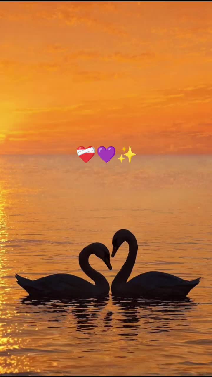@💜 Sarah BTS Army 7 💜