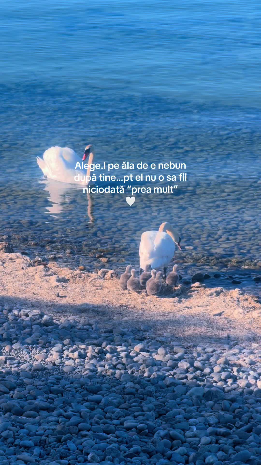 @Aylin💋🦂