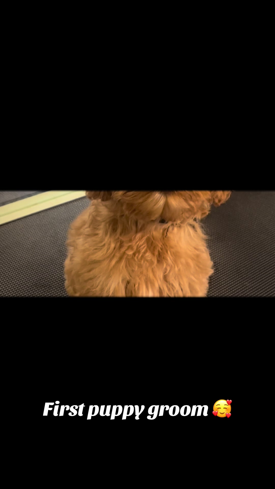 @Softskinpuppies