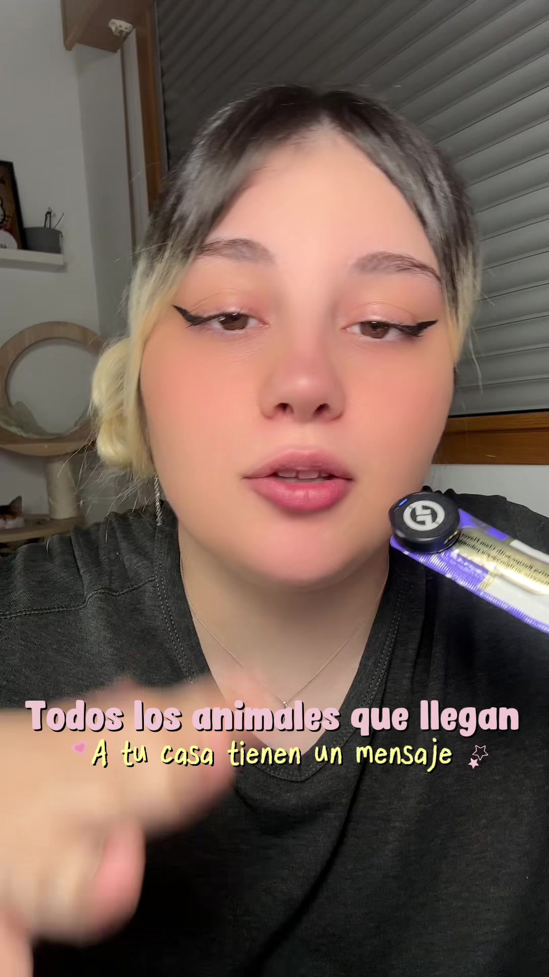 @- Alejandra 🐱💕