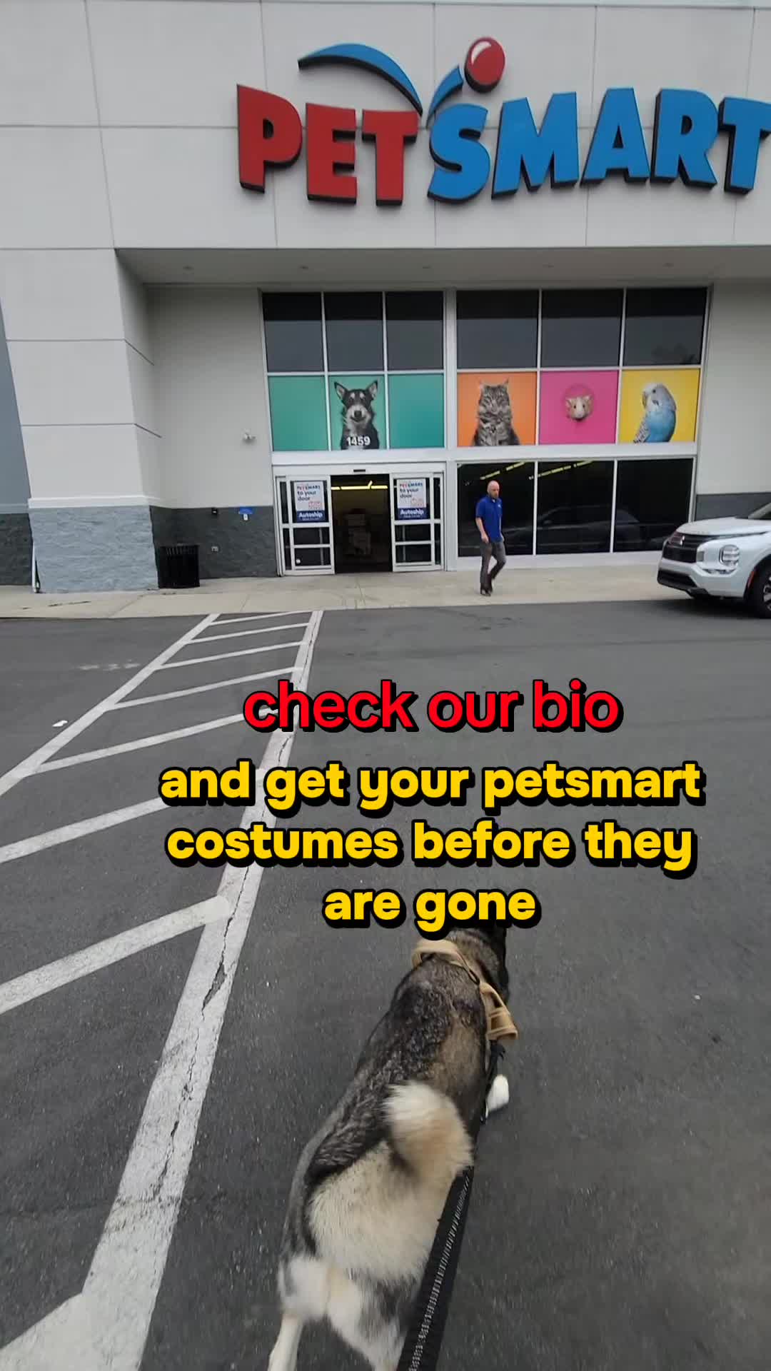 @the Hussey Husky