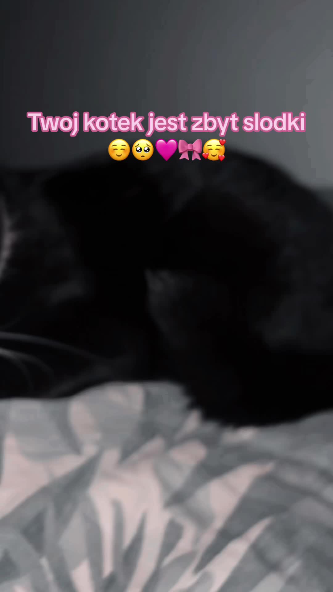 @k0walska04