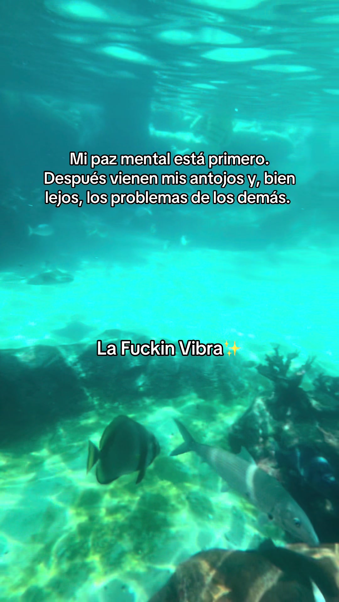 @souuulamalcriada
