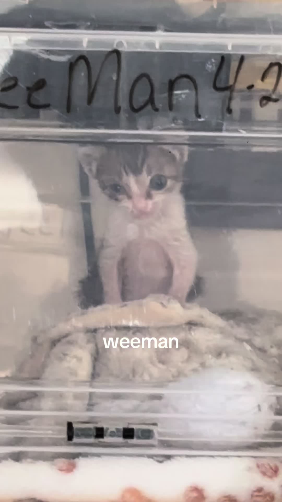 @ใโ
๐๐ณ๐บ โ
ๅฝก