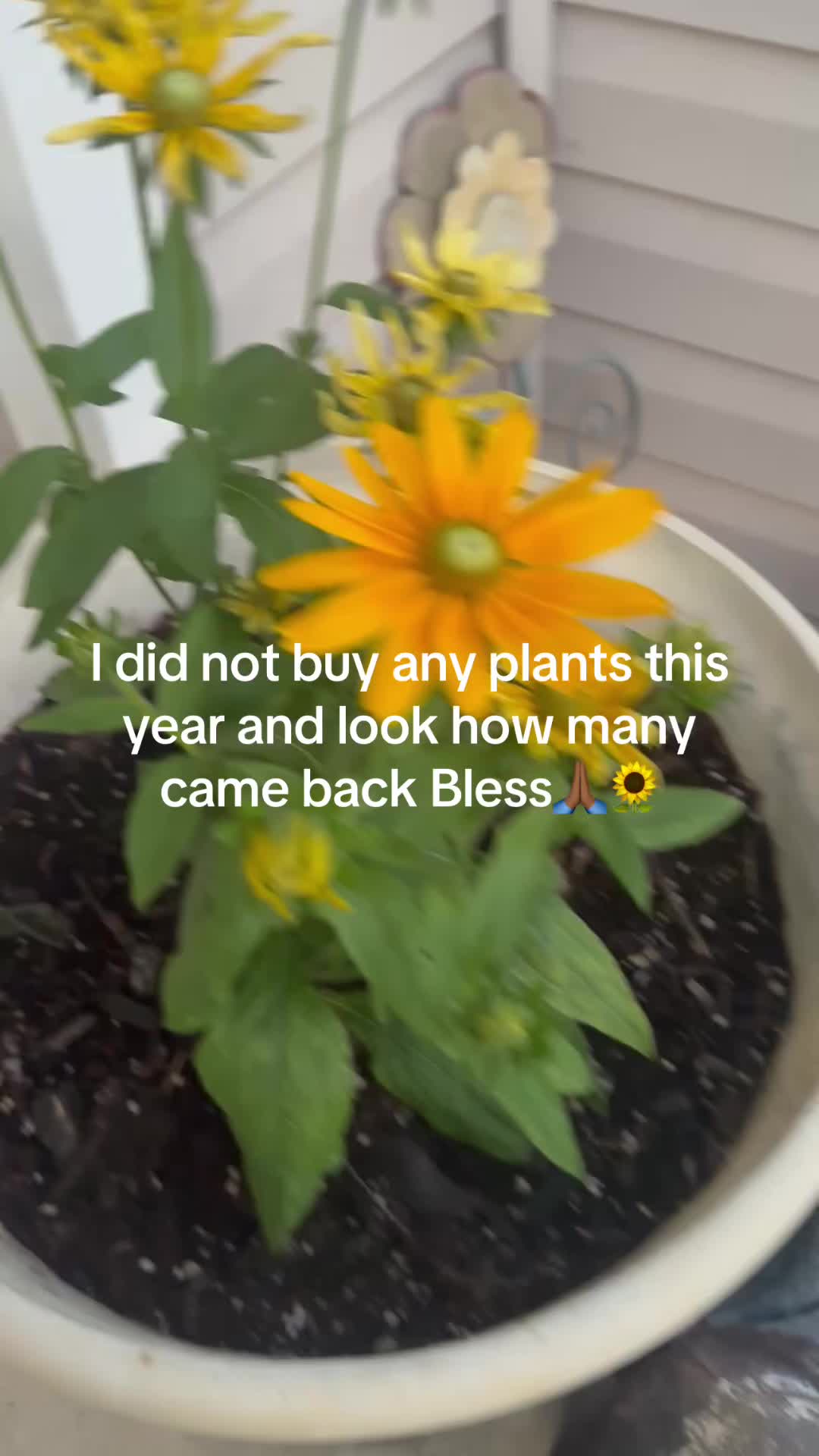 @prettypaulette66