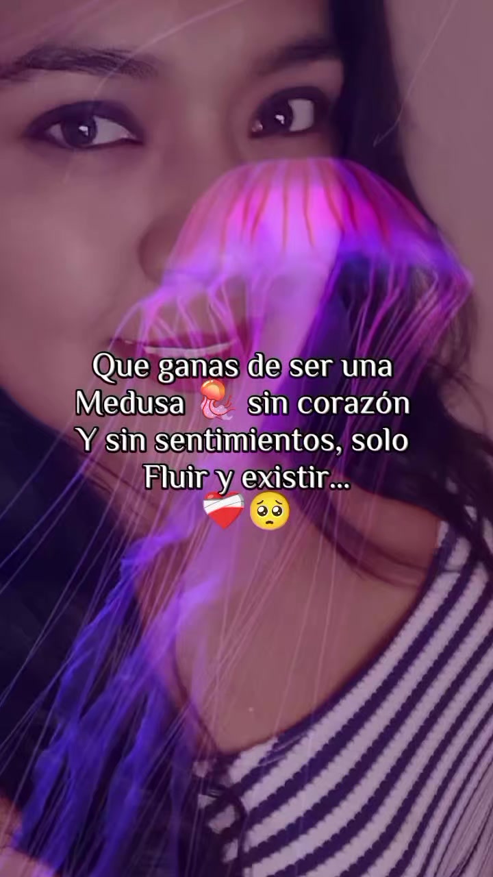 @Lulú