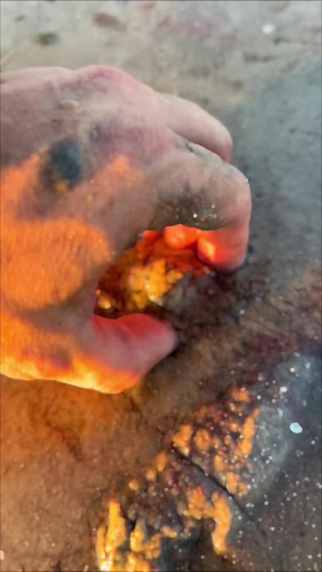 @Southwest Florida Shelling