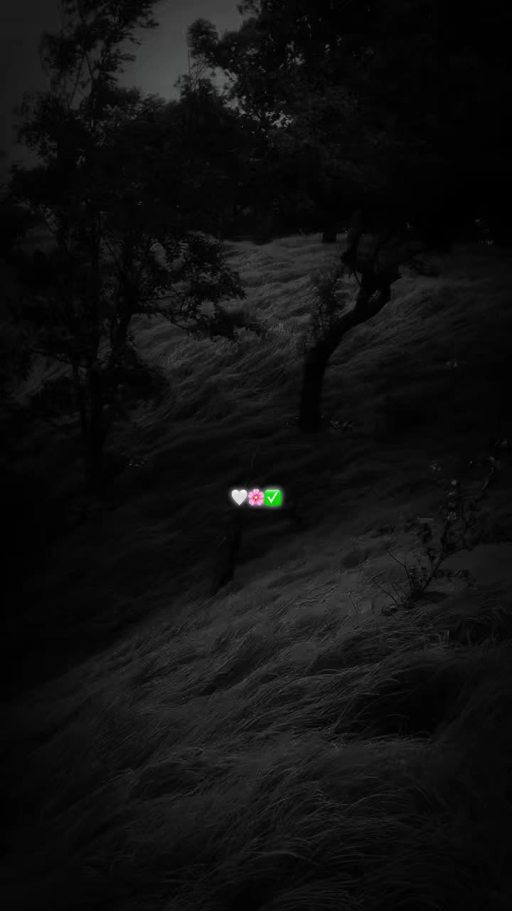 @𓆩𝗜𝘀𝗹𝗮𝗺𝗶𝗰𓆪
