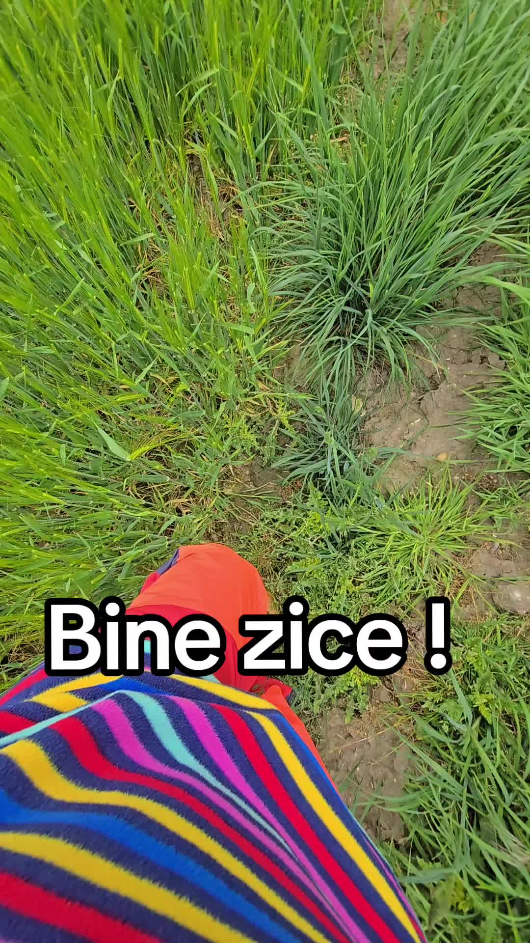 @Diana-Loredana